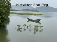 Nhóm nghiên cứu Đa dạng sinh học và Bảo tồn, Viện CNSH&MT khảo sát thực địa trồng rừng ngập mặn tại Ninh Ích, Ninh Hòa, Khánh Hòa