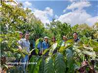 Trường Đại học Nha Trang được Quỹ Đổi mới sáng tạo Vingroup tài trợ dự án INNSA nhằm phát triển một nền tảng nông nghiệp Thông minh và Đổi mới sáng tạo cho chuỗi giá trị cà phê bền vững tại Việt Nam