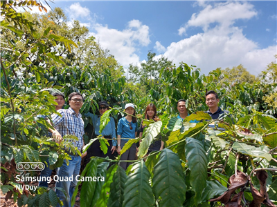 Trường Đại học Nha Trang được Quỹ Đổi mới sáng tạo Vingroup tài trợ dự án INNSA nhằm phát triển một nền tảng nông nghiệp Thông minh và Đổi mới sáng tạo cho chuỗi giá trị cà phê bền vững tại Việt Nam