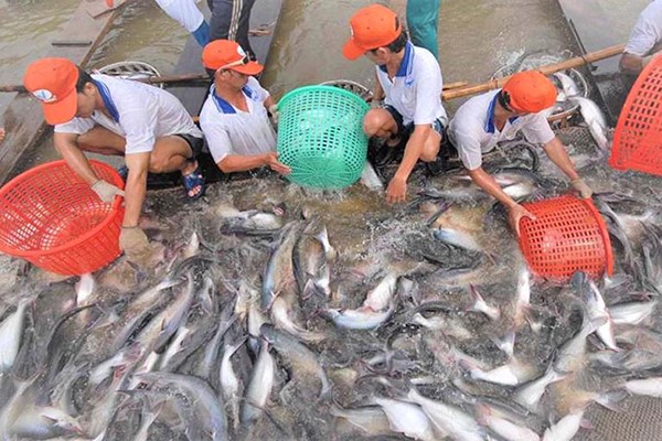 Ứng dụng công nghệ sinh học trong chế biến thuỷ sản