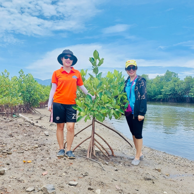 Chung tay trồng rừng ngập mặn tại Ninh Ích, Ninh Hòa Khánh Hòa